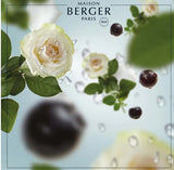 Maison Berger - Duftpinde Ocean Breeze